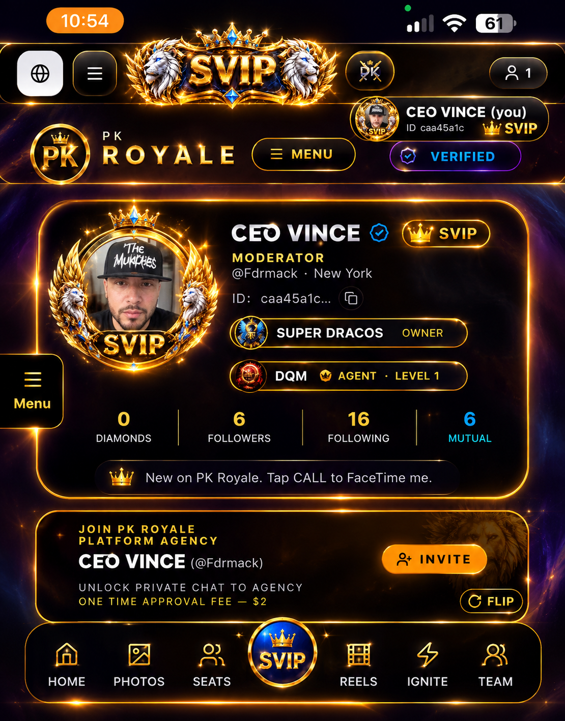 SVIP profile look